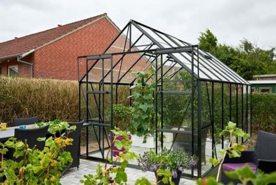 f09671_halls_magnum_148_black_hortiglass_5701701096716-2-lowres