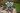 f09823_halls_gardenroom_5701701098239-low-23