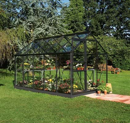 f09897_halls_popular_106_black_safetyglass_5701701098970-lowres